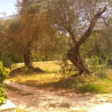 דירות Melíssia Geramia מראה חיצוני תמונה