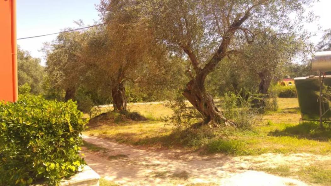 דירות Melíssia Geramia מראה חיצוני תמונה